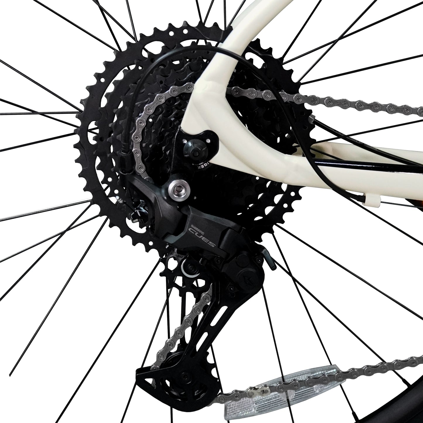 CLIFF MUDDY 7 CUES 2026